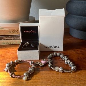 Pandora bracelet bundle 30 charms!